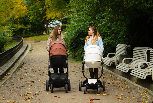 Two happy mothers with their baby strollers walking together in park. Prams for newborns. Motherhood