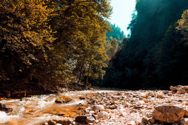 stormy stream of the mountain river