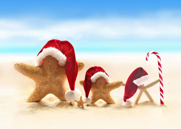 istock starfish in santa hat on sandy beach 865101522