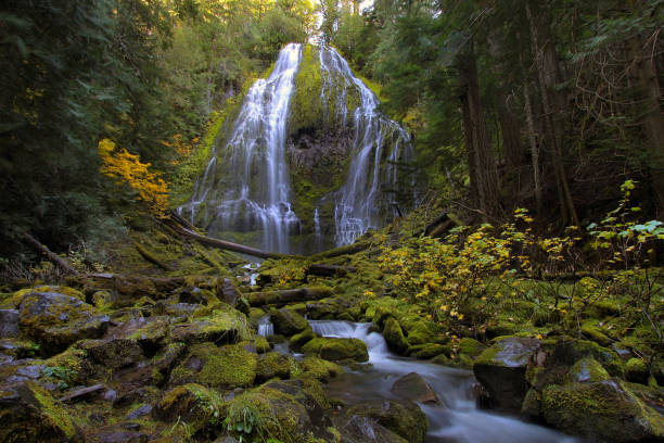 istock Proxy Falls near Blue River in Oregon USA 865105242
