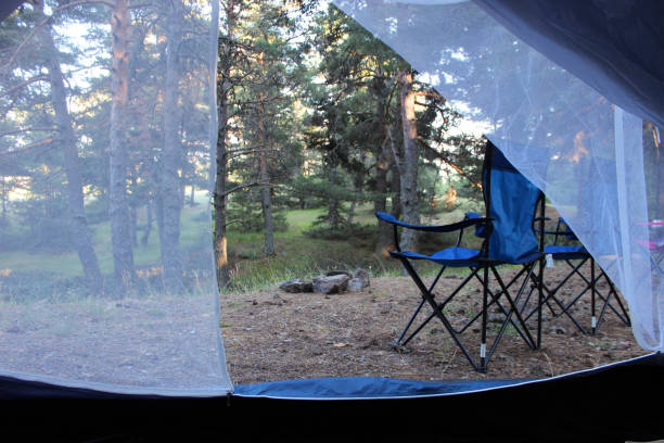 istock View of Forest from the tent 865116114