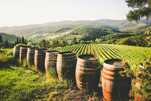 Wine barrels at a vineyard in Radda in Chianti, Italy