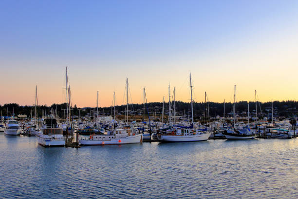 Yaquina Bay stock photo