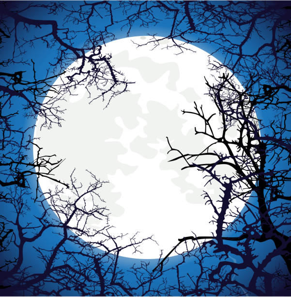 Frame from silhouettes of bare branches of trees on full moon ba Frame from silhouettes of bare branches of trees on full moon background halloween moon stock illustrations