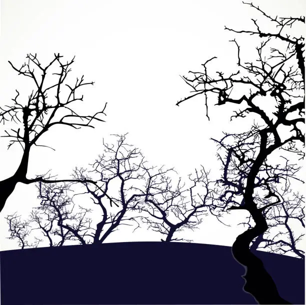 Vector illustration of Halloween background with scary trees