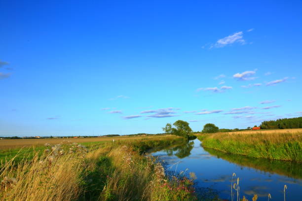 istock Wonderful nature landscape on a summer day 865139674