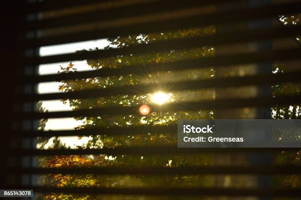 Morning Sunrise Through The Blinds Stock Photo - Download Image Now - Abstract, Backgrounds, Behind