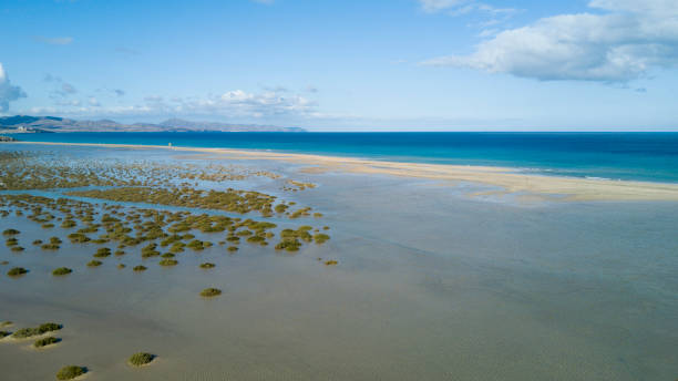 istock aerial view of deserted beach 865159504