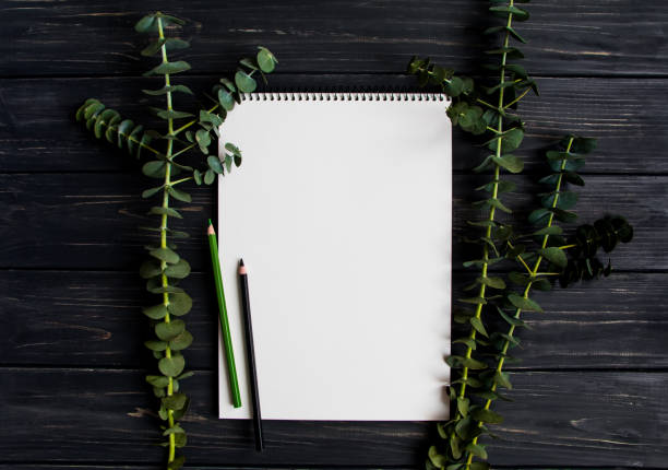 istock Sketchbook and pencils on black wooden table, decorated with green eucalyptus branches. Flat lay, top view 865162940