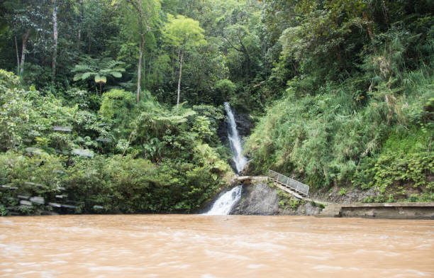 istock Flowing Waters of Fijian Rainforest 865164310