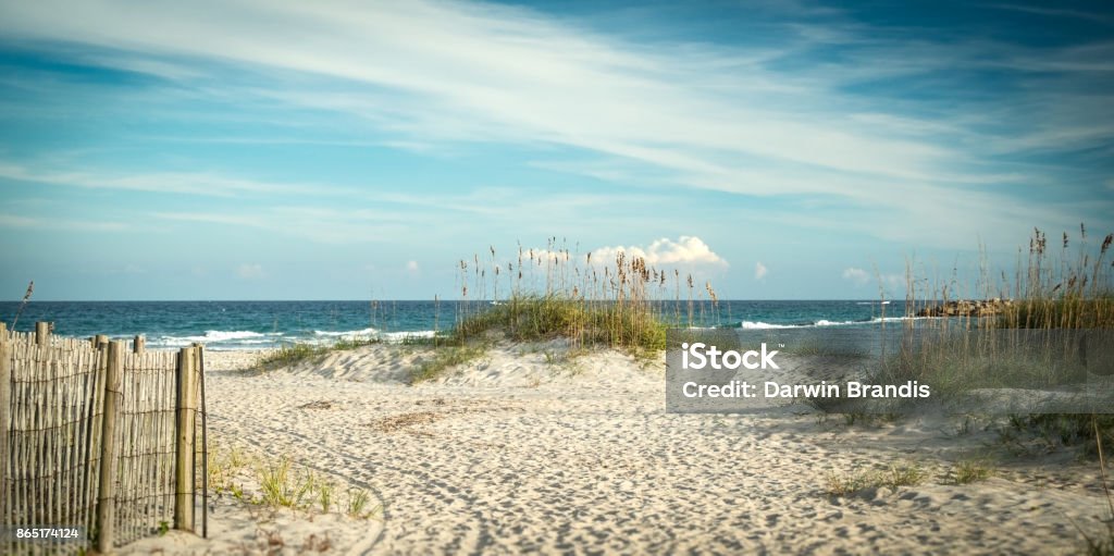 Atlantic Dunes A planted dune stands amongst others out at Wrightsville Beach, NC. Beach Stock Photo