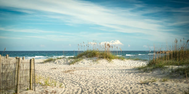 Atlantic Dunes A planted dune stands amongst others out at Wrightsville Beach, NC. wilmington north carolina stock pictures, royalty-free photos & images