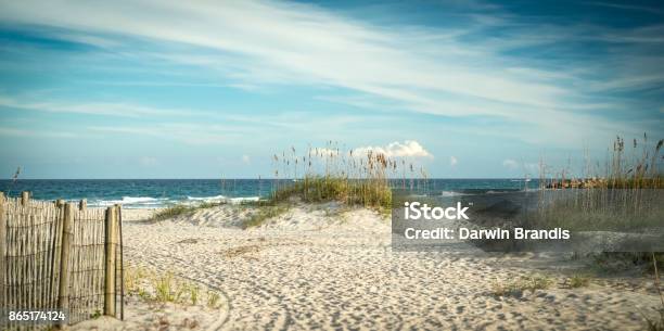 Atlantic Dunes Stock Photo - Download Image Now - Beach, North Carolina - US State, Wilmington - North Carolina