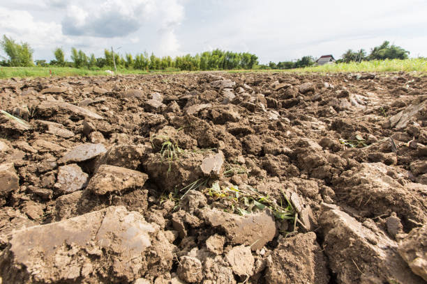 istock soil field prepared in farm 865177188
