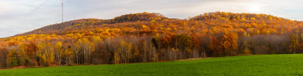 istock Panoramic image of a colorful, autumn hillside 865186612