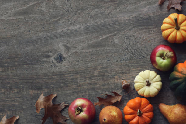 outono colorido thanksgiving harvest fundo com maçãs, abóboras, pera frutas, folhas, bolota e porca de fronteira sobre a madeira escura - abundance apple red yellow - fotografias e filmes do acervo