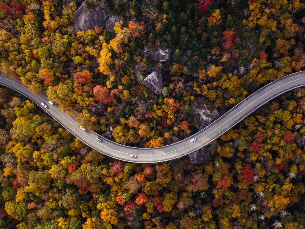 車で森の中の道 - forest autumn aerial view leaf ストックフォトと画像