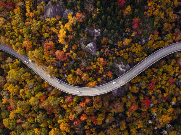 road through forest with cars - vista aérea de carro isolado imagens e fotografias de stock