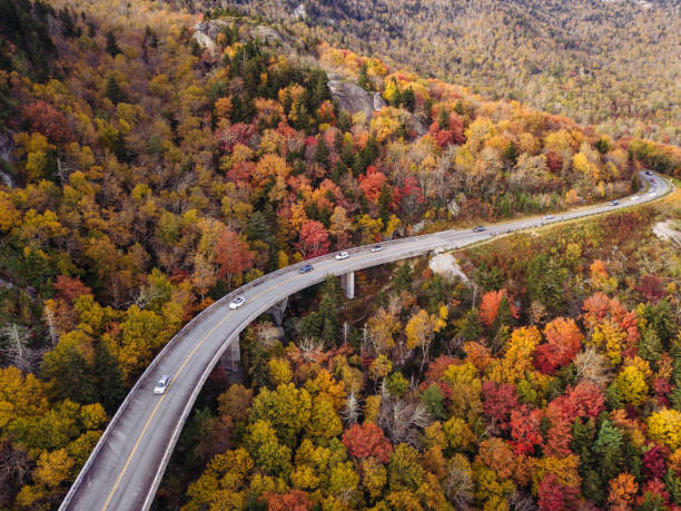 istock Road through forest with cars 865192846