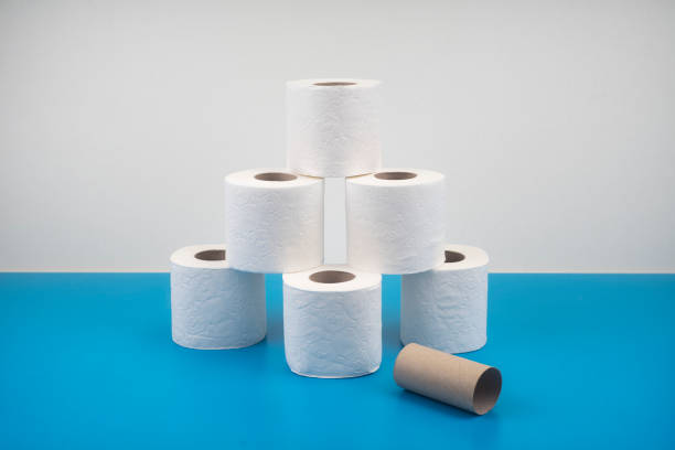 istock Toilet paper 865216460