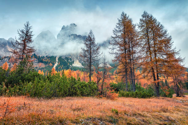 istock Foggy outdoor scene with Cristallo mount on background. 865220630