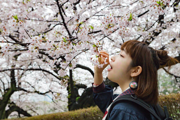 istock cherry blossom woman holding an umbrella 865226806