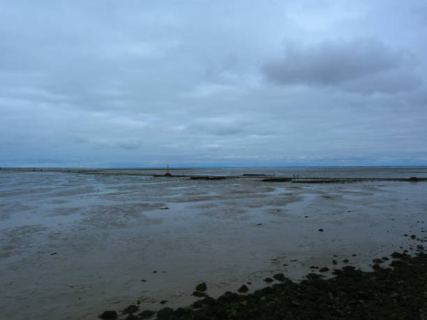 istock Passage of Gois at low tide, Vendee 865227450