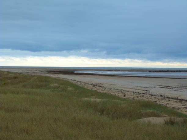 istock Beach of Noirmoutier, Vendee 865227824