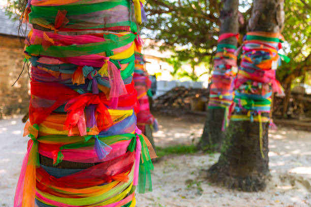 couleurs tissu enveloppant l’arbre ou le tissu sept couleurs serviette enroulé plam tree tissu multicolore lié au temple pour la croyance de l’adoration du bouddha thaï - 7 week old photos et images de collection