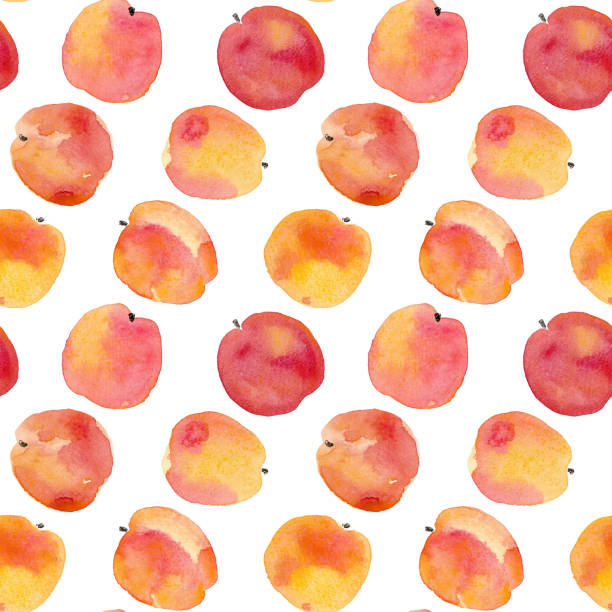 illustrations, cliparts, dessins animés et icônes de aquarelle à la main dessin pêches et pommes grand fond transparent - peach fruit backgrounds textured