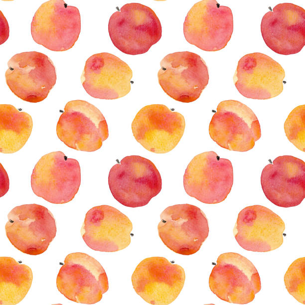 수채화 그리기 복숭아와 사과 손 큰 완벽 한 배경 - peach fruit backgrounds textured stock illustrations