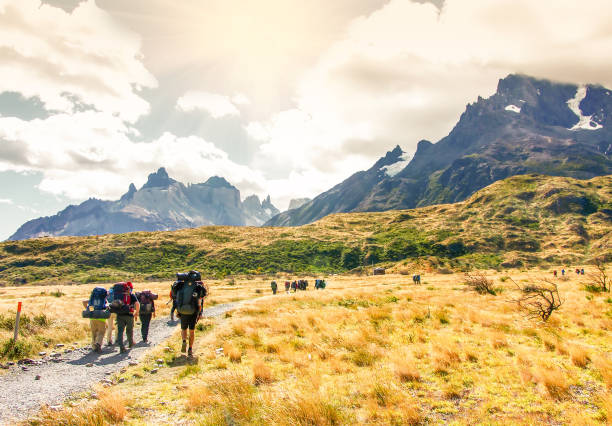 grupa podróżnych z plecakami idzie szlakiem w kierunku lodowca z ośnieżonymi szczytami w tle - snow capped mountain peaks zdjęcia i obrazy z banku zdjęć