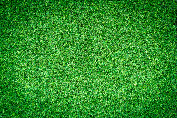 istock Artificial green grass texture or green grass background for golf course. soccer field or sports background concept design. 865242630