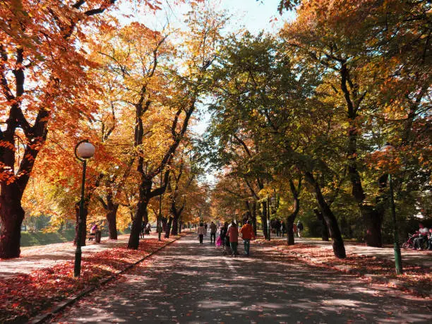 Photo of Vilson's promenade with beautiful autumn colors in sarajevo , Bosnia and Herzegovina