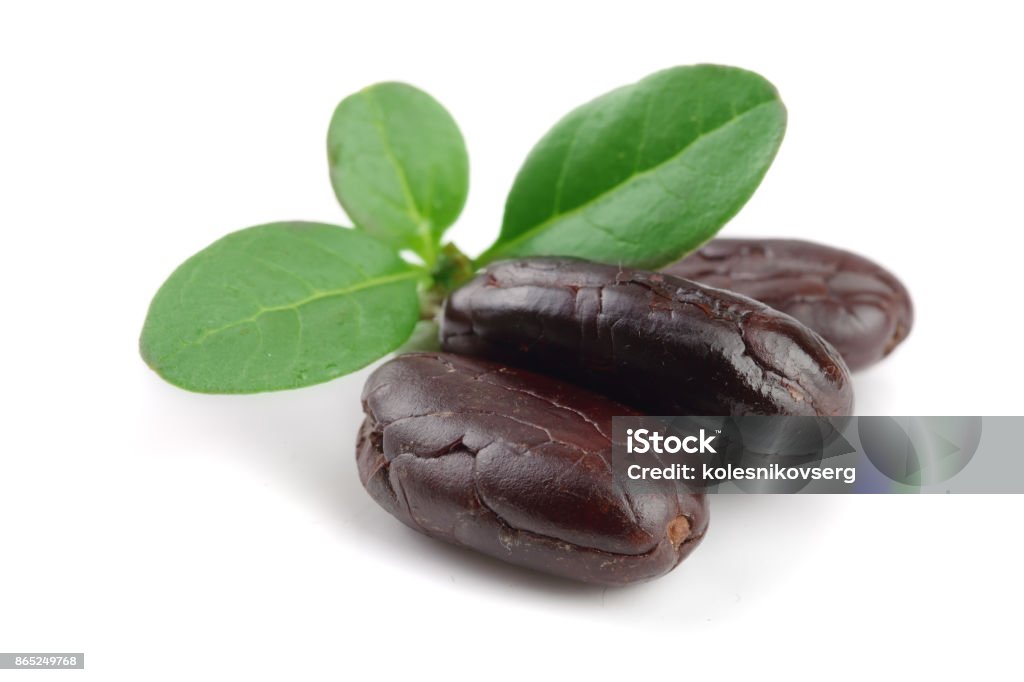 cocoa bean with leaf isolated on white background macro cocoa bean with leaf isolated on white background macro. Aromatherapy Stock Photo