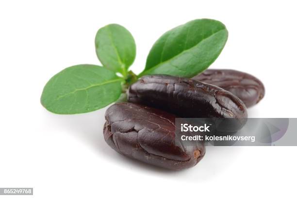 Cocoa Bean With Leaf Isolated On White Background Macro Stock Photo - Download Image Now