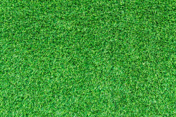 istock Artificial green grass texture or green grass background for golf course. soccer field or sports background concept design. 865253098