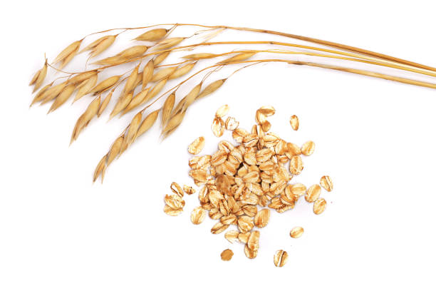 istock oat spike with oat flakes isolated on white background 865253538