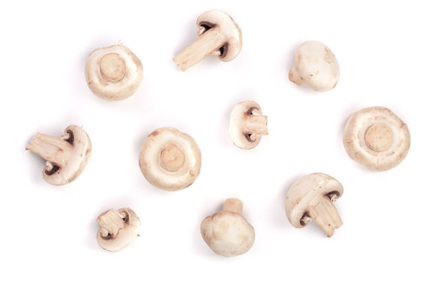 istock mushrooms isolated on white background. top view 865254088