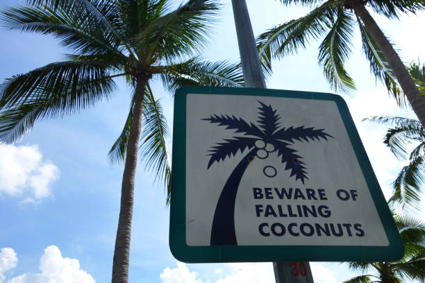 istock Sign of coconut fall in a park 865254202