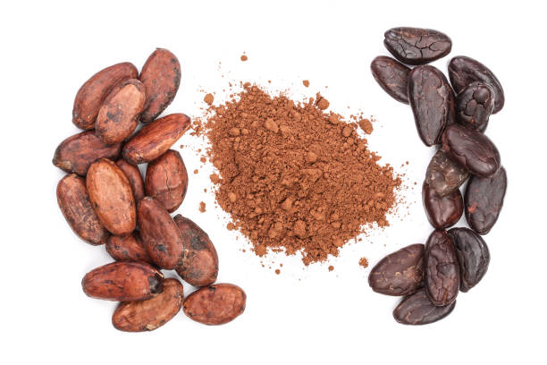 istock cocoa bean and cocoa powder isolated on white background top view 865254536