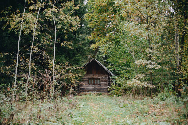 istock Old abandoned wooden house 865256978