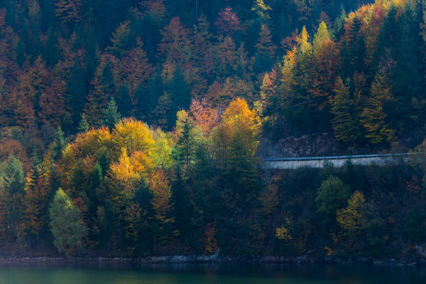 istock autumn landscape at Colibita, romania 865268658