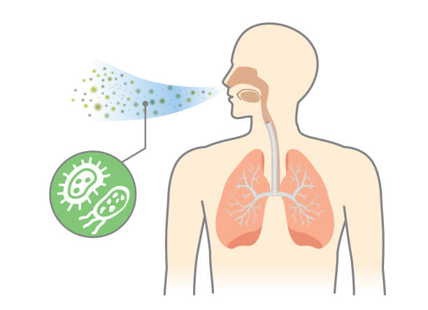 Bacteria and Fungi into respiratory of human from breathe. Bacteria and Fungi into respiratory of human from breathe. Illustration about air pollution. dust pollution stock illustrations