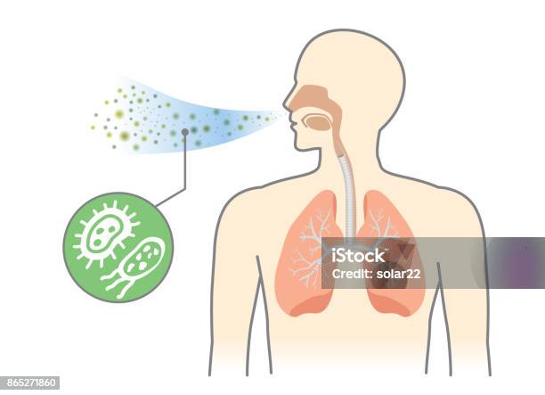 Bacteria And Fungi Into Respiratory Of Human From Breathe Stock Illustration - Download Image Now
