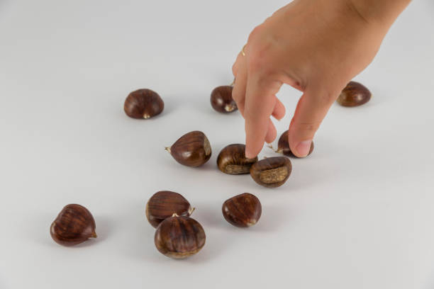 woman's hand and chestnuts