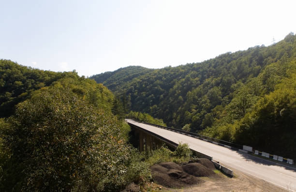 istock The road from Zestafoni and the bridge. 865283712