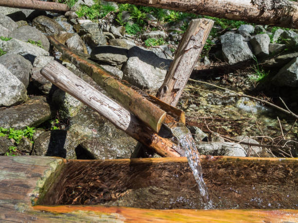 istock Water pipe in wood with collecting basin 865293090