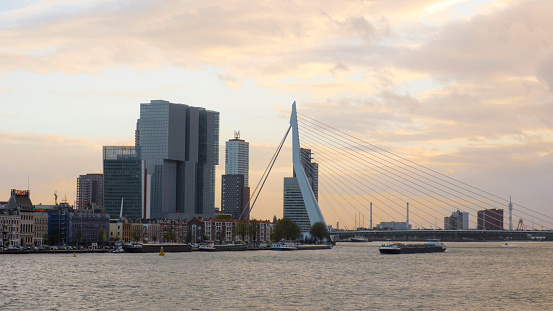 View of the Dutch city Rotterdam and the Meuse river at the sunset