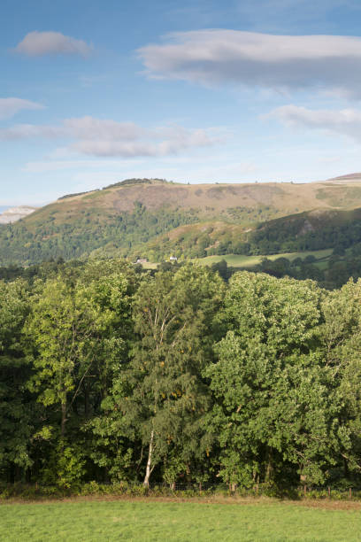 スランゴスレン; 外ディー谷の田舎ウェールズ - dee river river denbighshire wales ストックフォトと画像